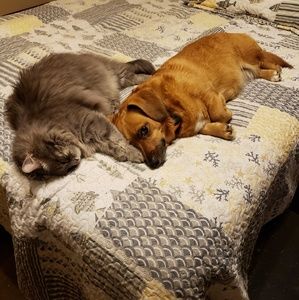 Meet your Posher, Annie